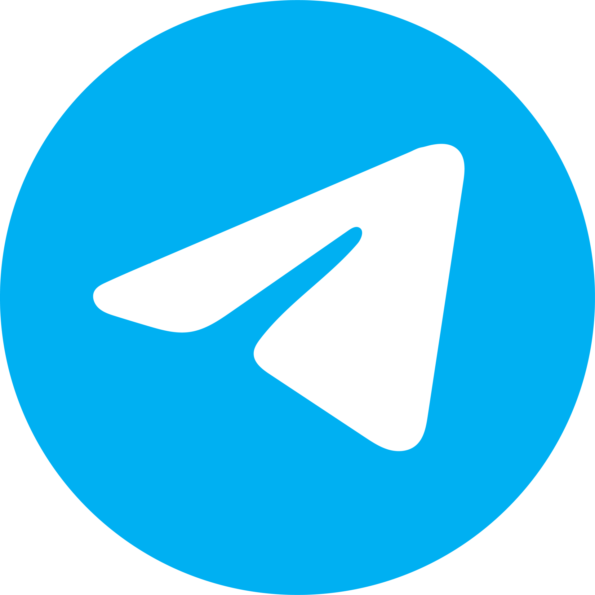 telegram logo icon social media icon free png